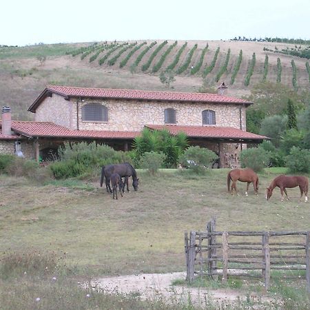 Casale Farnesiana B&B Tarquinia Buitenkant foto