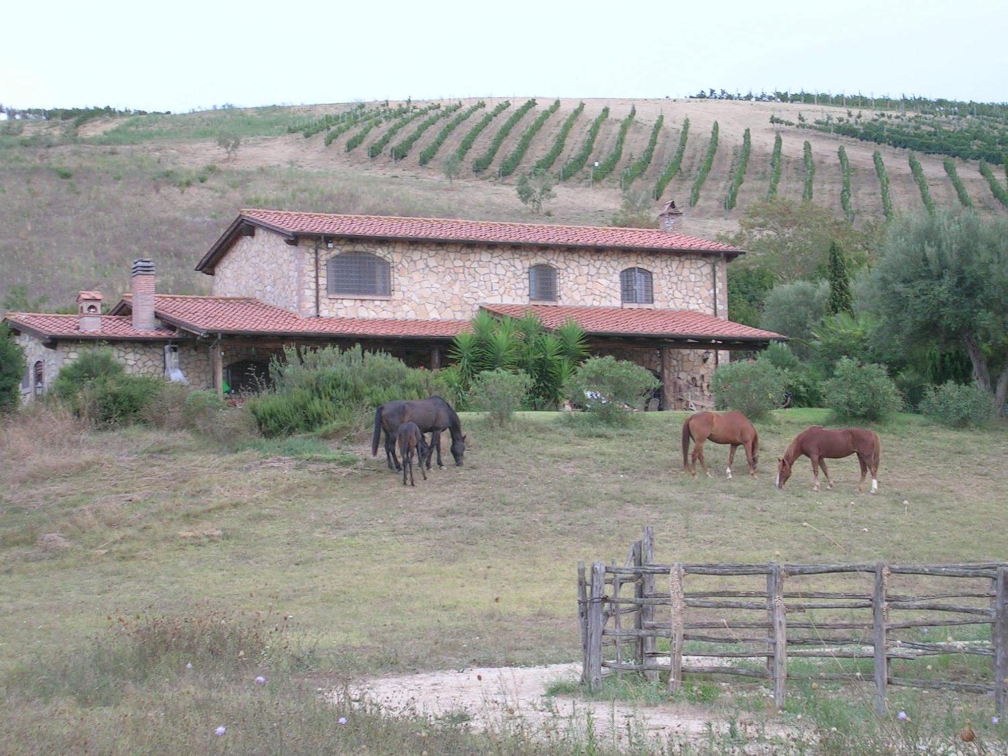 Casale Farnesiana B&B Tarquinia Buitenkant foto