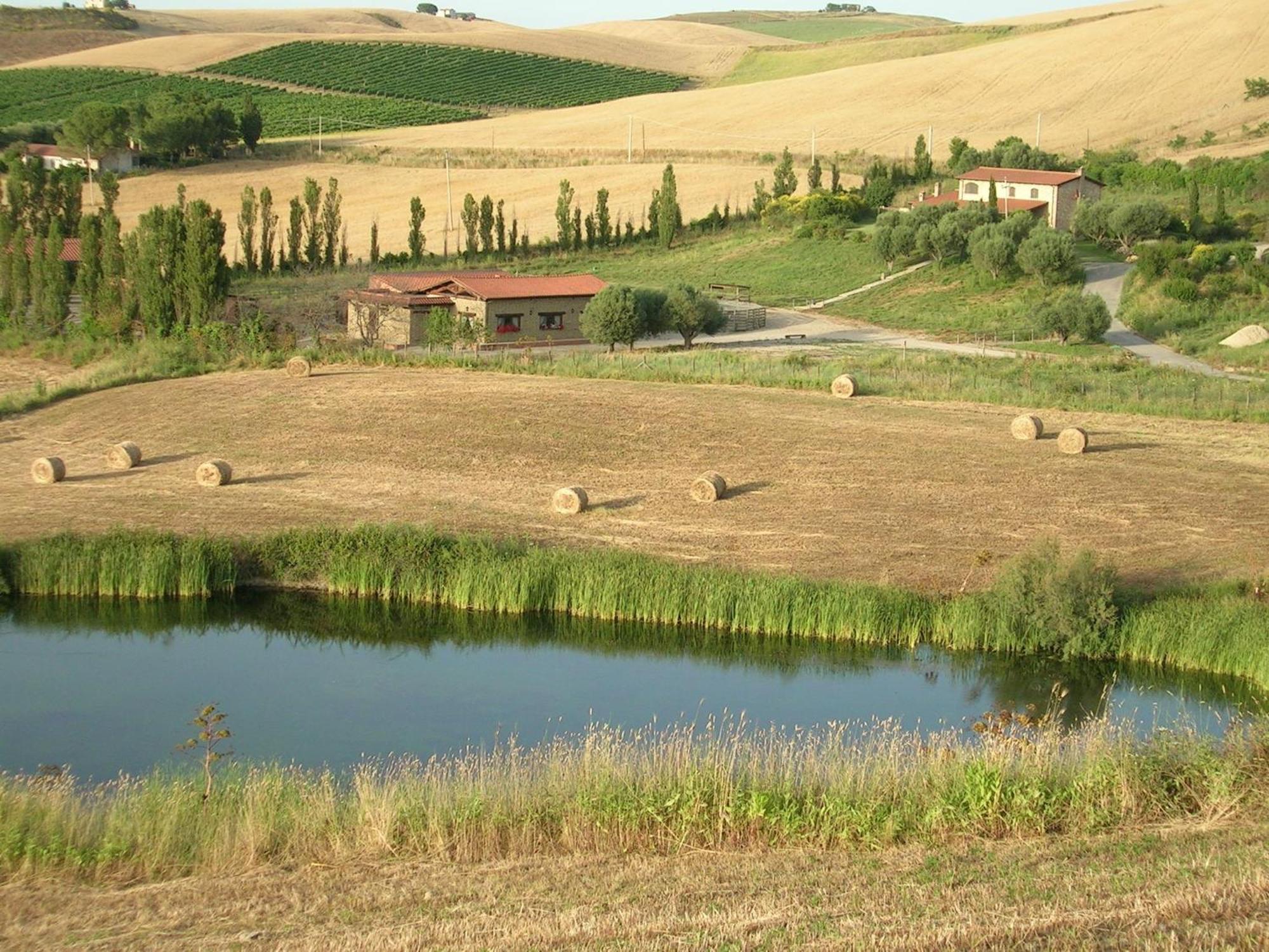 Casale Farnesiana B&B Tarquinia Buitenkant foto