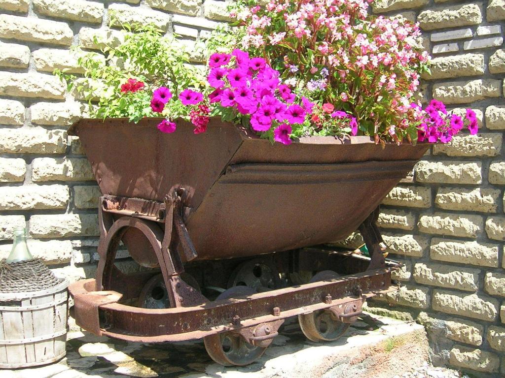 Casale Farnesiana B&B Tarquinia Buitenkant foto