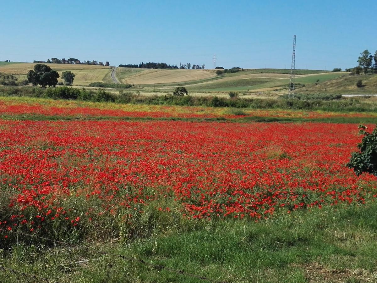 Casale Farnesiana B&B Tarquinia Buitenkant foto