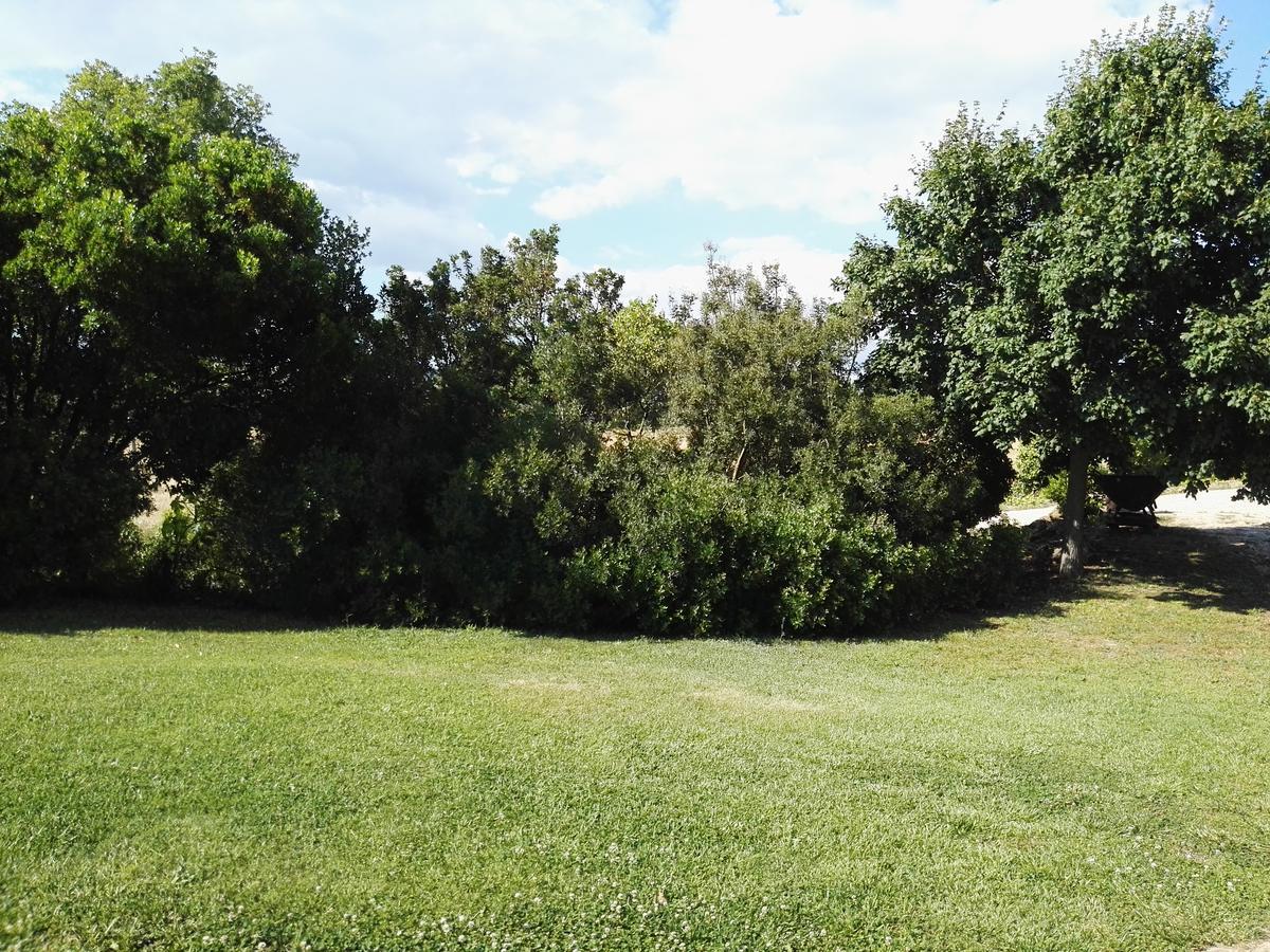 Casale Farnesiana B&B Tarquinia Buitenkant foto