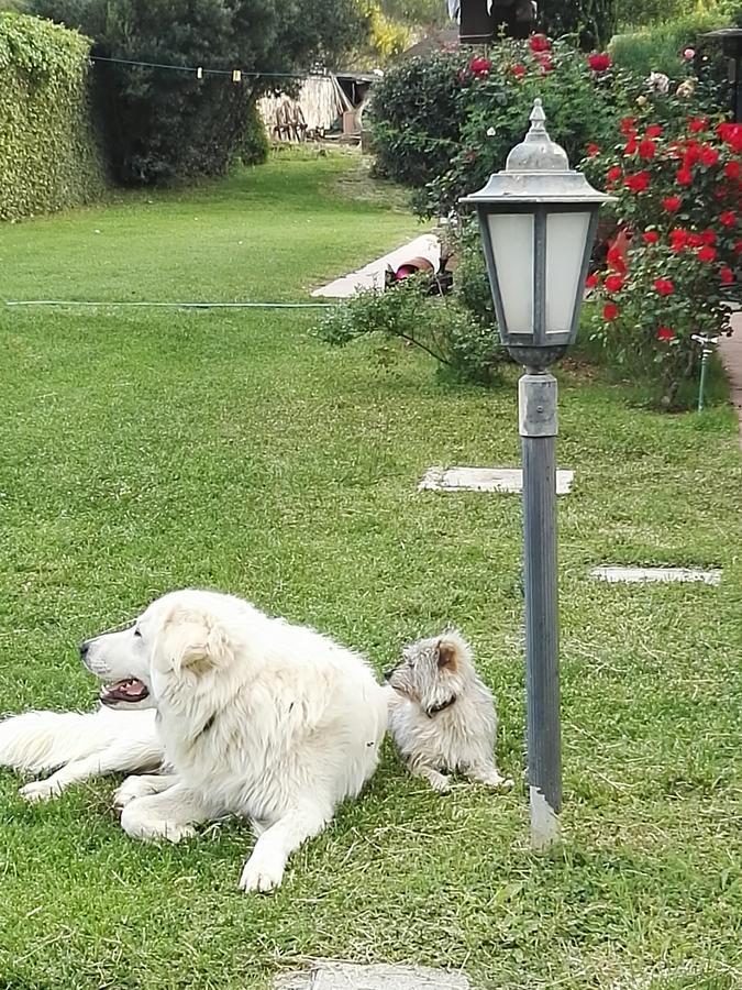 Casale Farnesiana B&B Tarquinia Buitenkant foto
