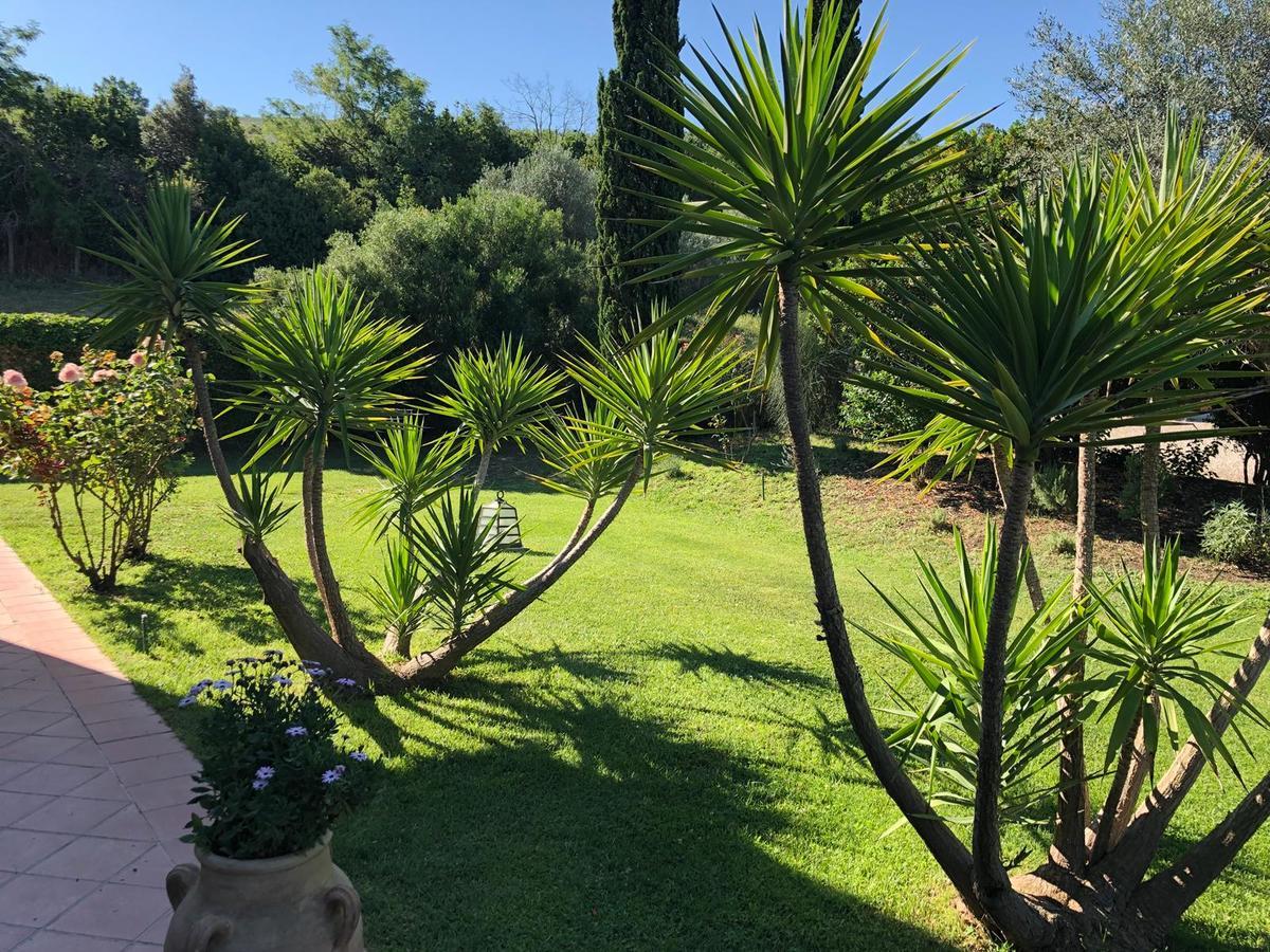 Casale Farnesiana B&B Tarquinia Buitenkant foto
